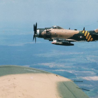 Sự Hy Sinh Anh Dũng Của Hai Phi Công... - Lanhnguyen, Phi Long 31